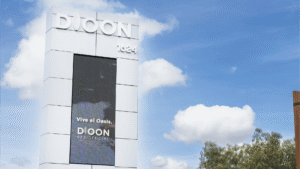  DIOON